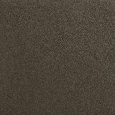 Garrett Leather Avion Bungee Cord